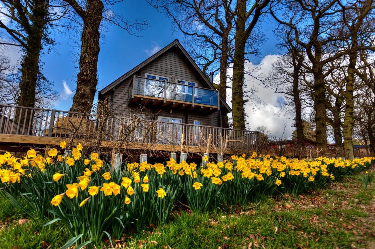 Ilodge Ultra Louth  Exteriér fotografie